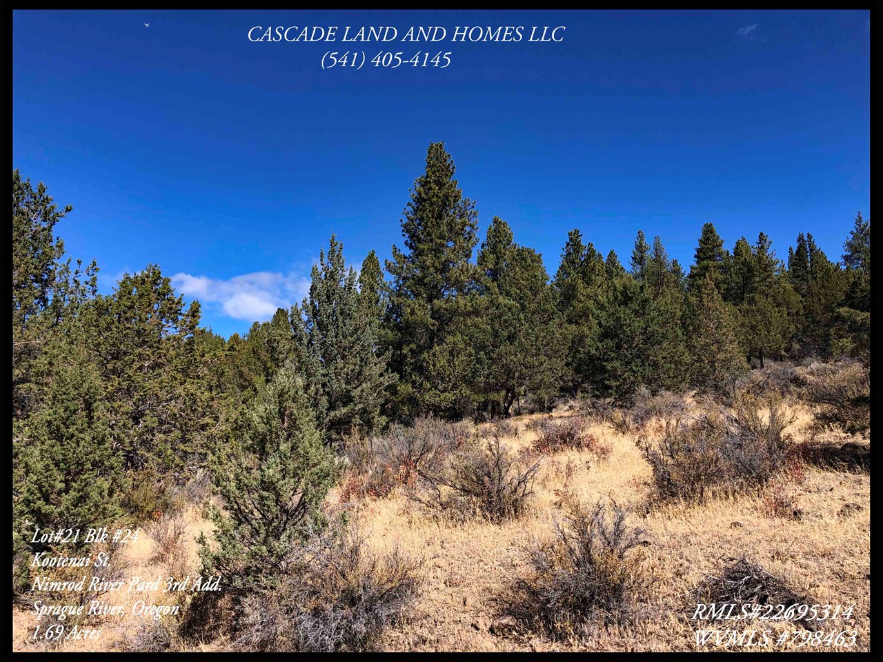 the property slopes gently upward from the road and is covered with western juniper, a few pines, sage and rabbit brush and native grasses. the soil here is volcanic loam.