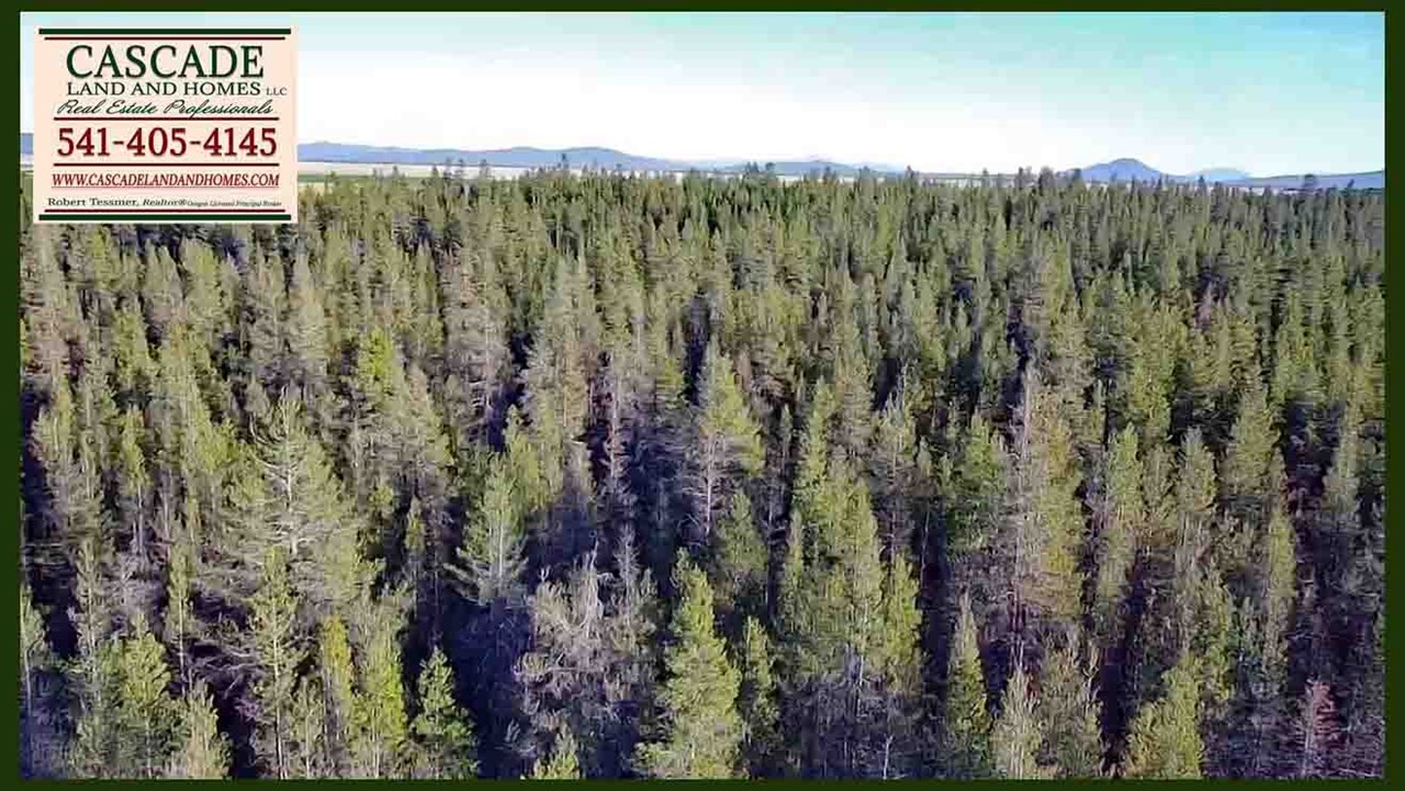 this is a drone photo of the property and surrounding subdivision. the parcels here are heavily treed for added privacy. this gorgeous area is known for its outdoor recreation and quiet lifestyle. opportunities include fishing, hunting, bird and wildlife watching, kayaking, canoeing, and photographing the landscapes and wildlife.