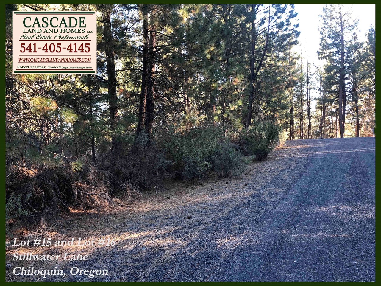 the roads to the property are very well maintained compacted dirt, cinders, and gravel. we had no trouble at all accessing the property. it's very easy to find, the roads are well marked, just look for our signs!