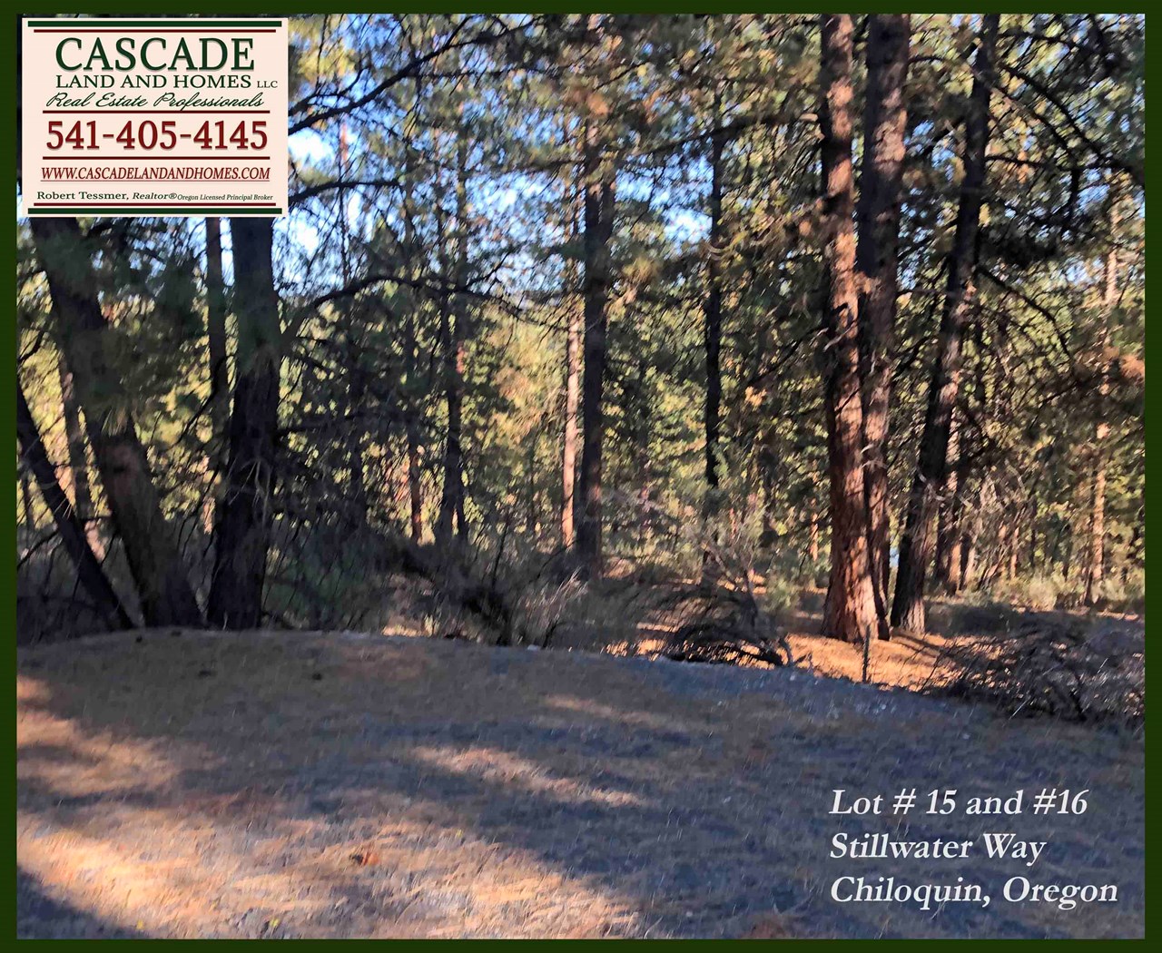 the property is heavily forested, and there are many possible building sites. bring your house plans and explore the possibilities!