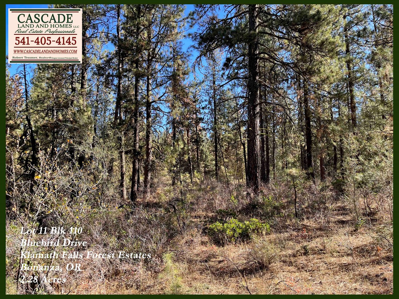 the property is heavily treed and covered with shrubs including sage and manzanita and native grasses. the soil here is volcanic loam with a layer of mulch from the pine needles under the tree canopy.