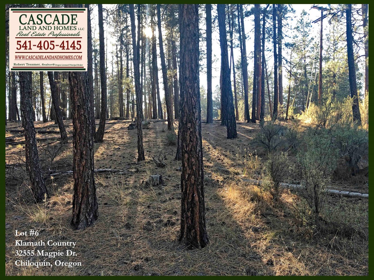 the large, mature pines on this property offer privacy and a feeling of being surrounded by wilderness! it's walking distance to the sprague river from the property, and there is a public access point right across the street! the property would need a well, septic and power. power is nearby and the county well logs show that wells in this area are productive and not too deep. the property is located between the communities of chiloquin and sprague river, and is accessed by well maintained roads.