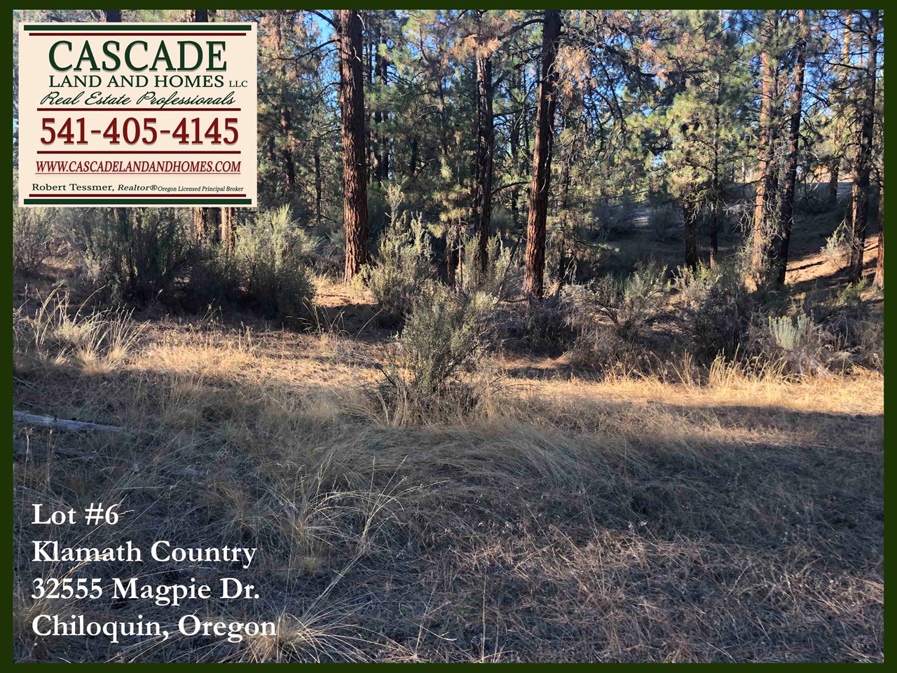 the property slopes gently, but the topography varies. there has been a pad cut in by previous owners for a possible building site. the trees are primarily pines, the understory is sage, and rabbit brush as well as some native grasses, and wildflowers in the spring!