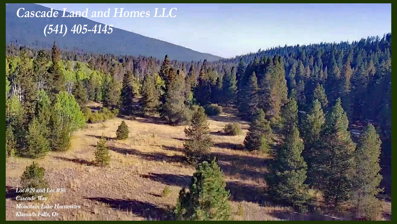 two gorgeous adjoining properties are being offered for sale separately from the same owner (lots 29 and 30) you could purchase just one or make an offer on both for a larger homesite! the owner may be willing to carry the financing on these properties! this is a drone photo taken above the property located in this secluded court with many mature pines for added privacy. it's just  30 minutes to klamath falls for an easy commute to work, and just minutes to klamath lake!


