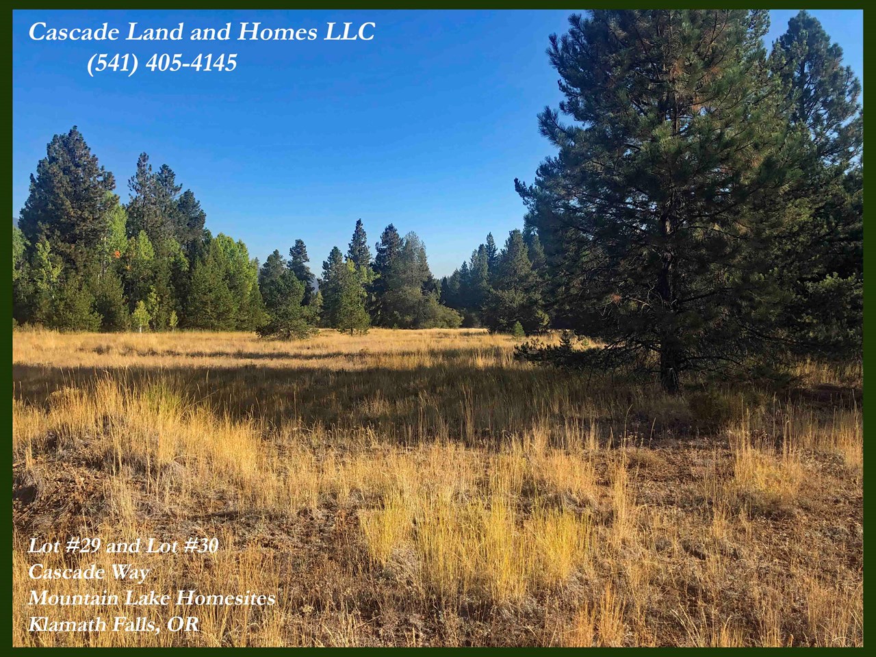 you would never know you are close to the city of klamath falls here. you are surrounded by trees and wilderness.