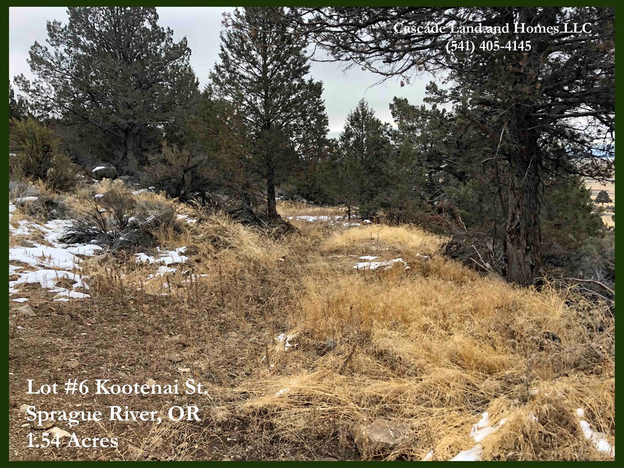 there has been some clearing done on the property by prior owners to provide possible homesites that would take full advantage of the views and have easy access.