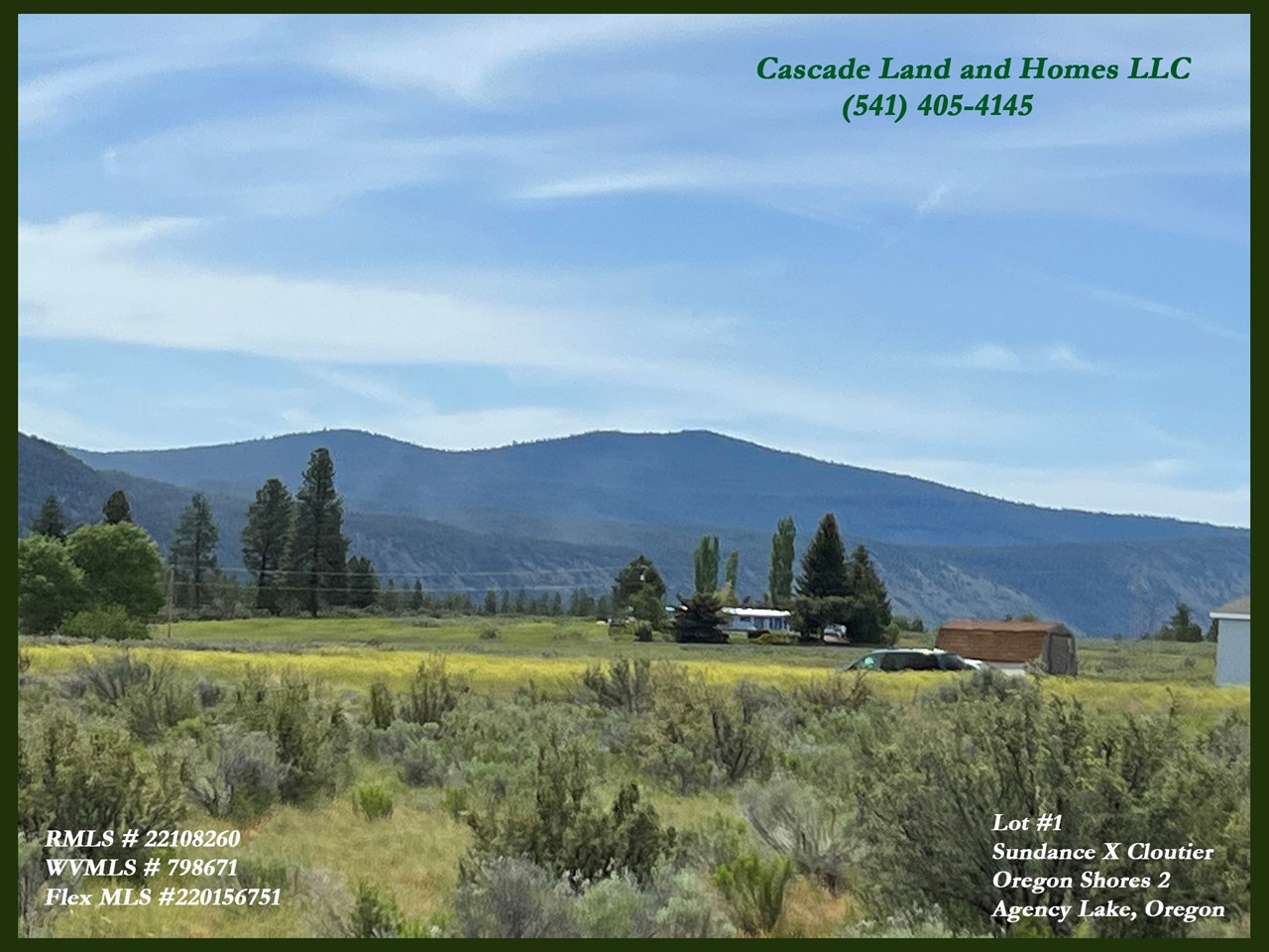 the rolling hills that lead up to the shores of agency lake are covered in lush green grass and low shrubs including sage and rabbit brush. in the springtime the whole are is blanketed in wildflowers!