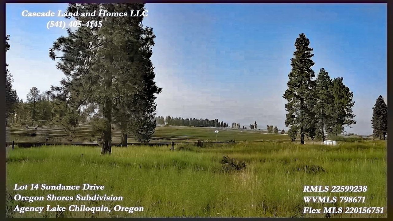 the owner may be willing to carry the financing on this gorgeous property in the desirable oregon shores subdivision! the lot is fairly flat, power and phone are to the property, and water and road maintenance are included in your low hoa fees! it would need to have a septic, but there are homes nearby that have successfully passed perk tests. the property sits near the entrance of the subdivision for easy access if you commute to chiloquin or klamath falls. come see all the area has to offer!