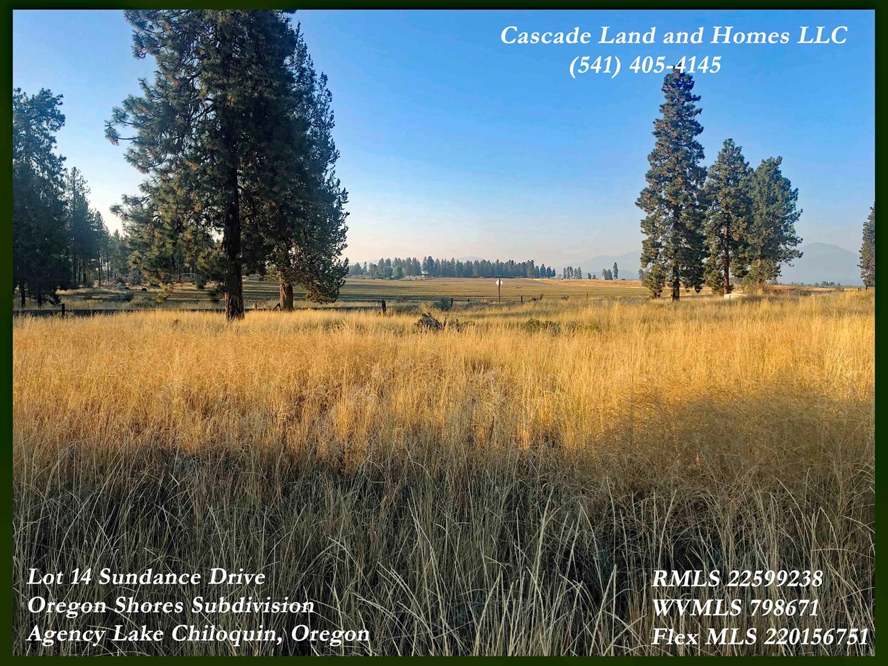 this photo is looking out across the property to the small family farms and foothills that surround the lake. if you are not looking for a place to build your permanent home yet, this would be an excellent place to build a vacation home for family to get out and enjoy the wilderness!