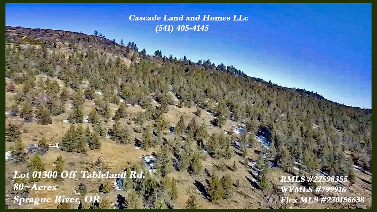 this is a drone photo of the side of cooks mountain. the western side of the property is in a gently sloping area where the road goes through with some flat areas, then to the east, it stretches up the mountain side toward the tabletop peak. there is a small ravine just east of the road that has a seasonal creek that flows through and is part of the chipps spring watershed.