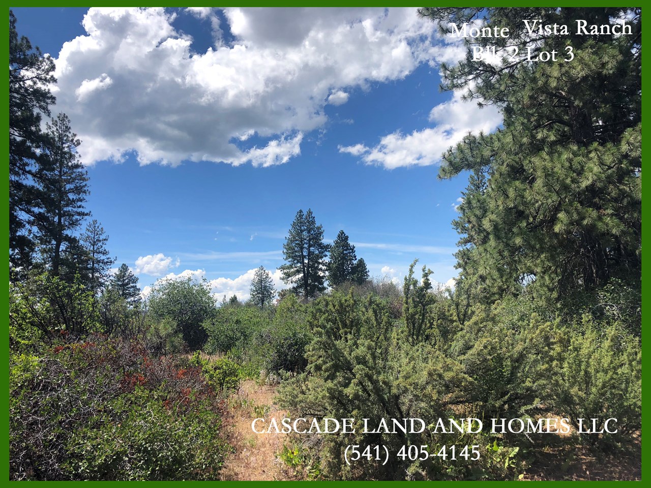 there are many flat possible building sites on this large lot. bring your building plans and explore the possibilities!