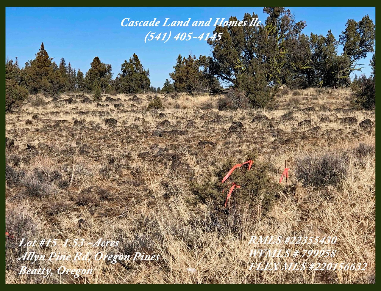 we have marked the property with our signs and red tape, so it should be easy to locate once you are out on the plateau. with the properties being at the foot of buckmaster point, it is a good reference point for location.