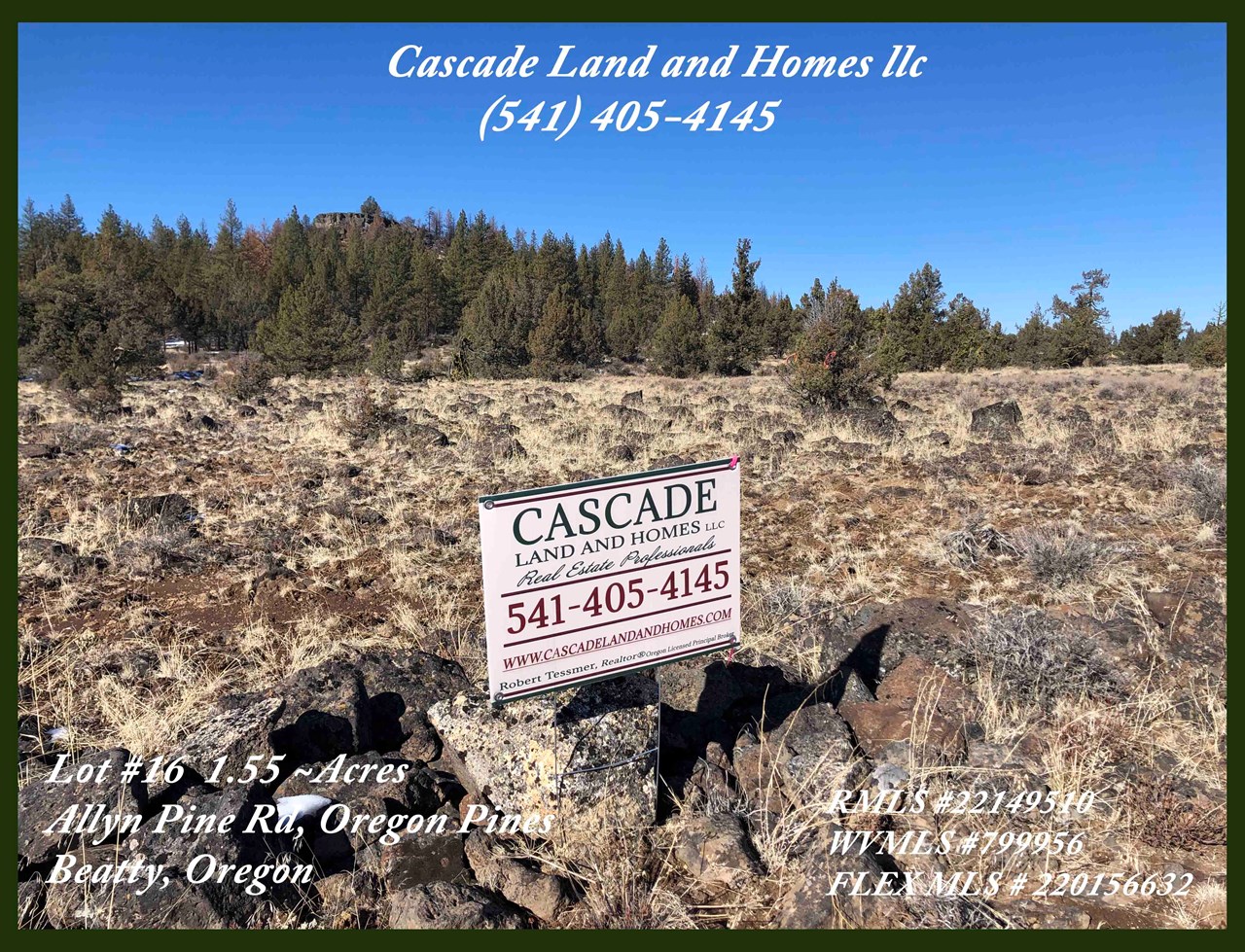 we have marked the property with our signs and red tape, so it should be easy to locate once you are out on the plateau. with the properties being at the foot of buckmaster point, it is a good reference point for location