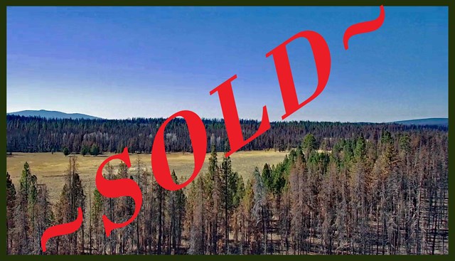 property listing