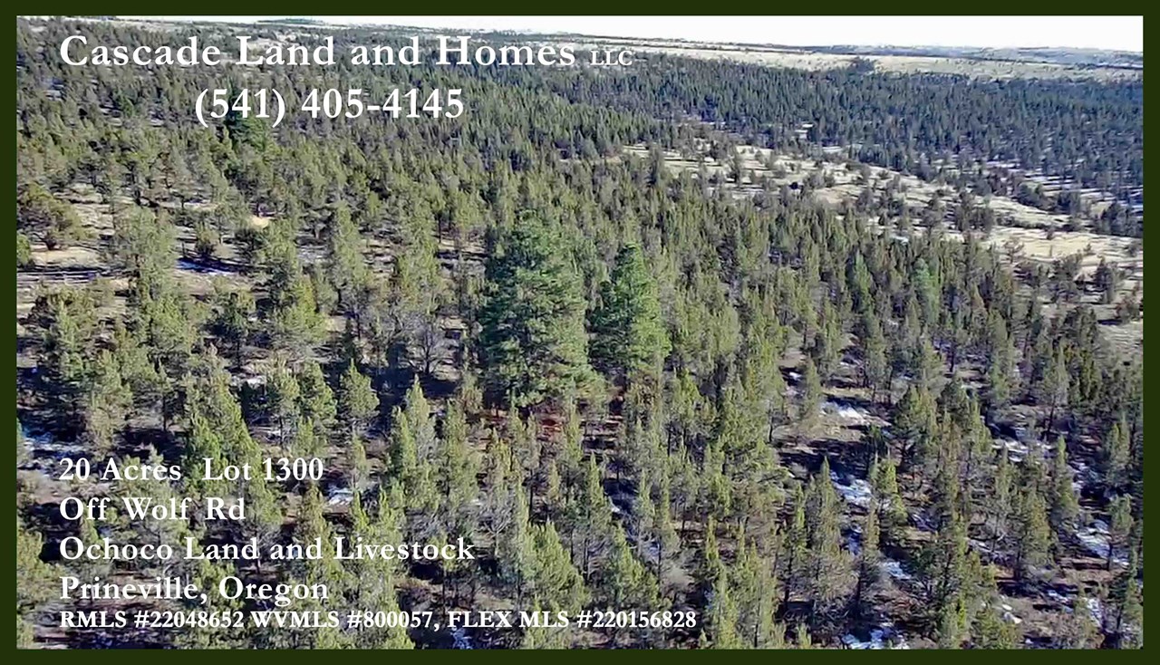 gentle topography as seen from a drone view of the property.