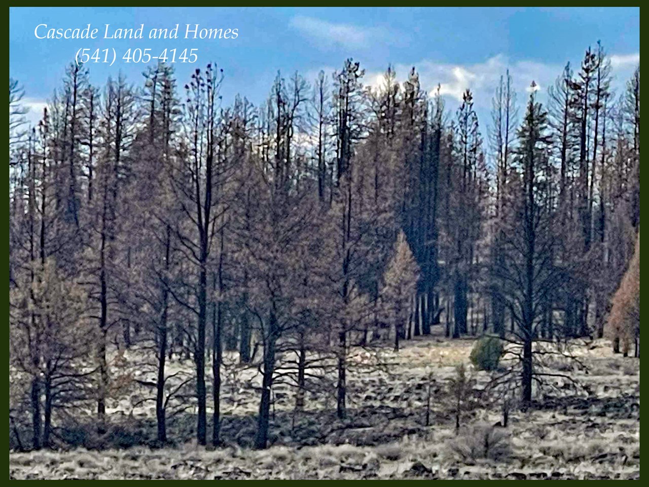 property listing image