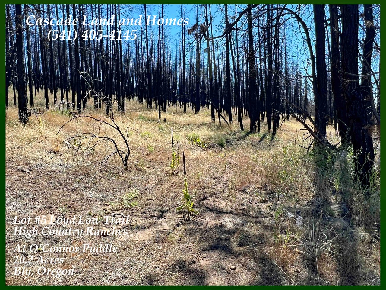 property listing image