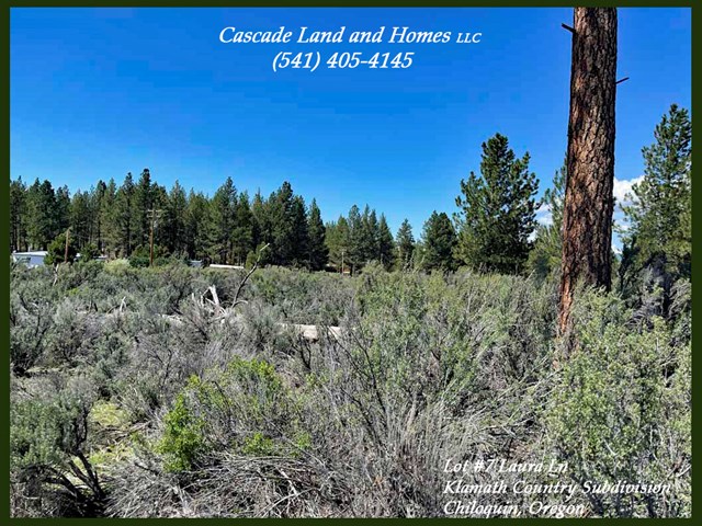 property listing