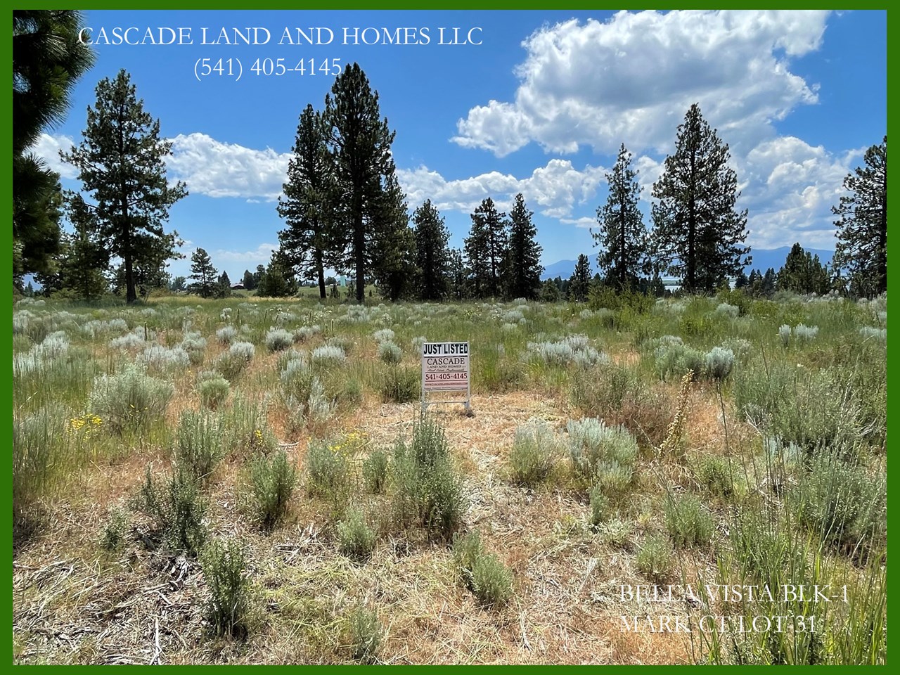 you feel like you are on top of the world here. the property sits high on a bluff offering some of the best views in the area.