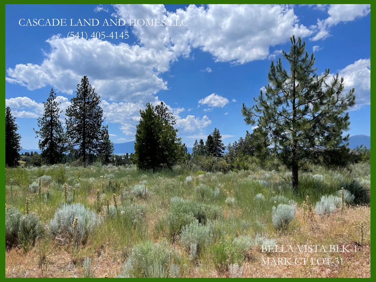 there are a few mature pines on the property, but it is mostly cleared of large brush. power is to the street; it will need a well and septic.