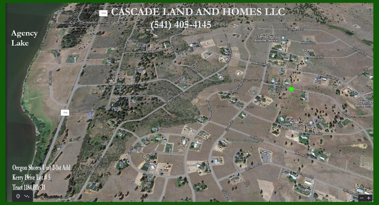 this is a google earth photo showing the streets and homes in the subdivsion.