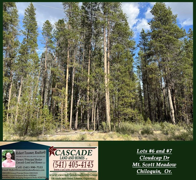 property listing