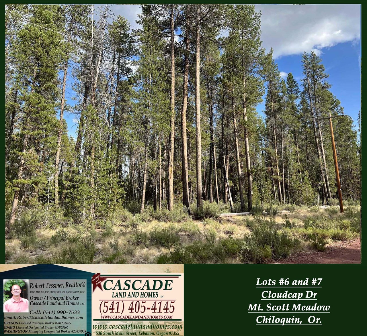 property listing image