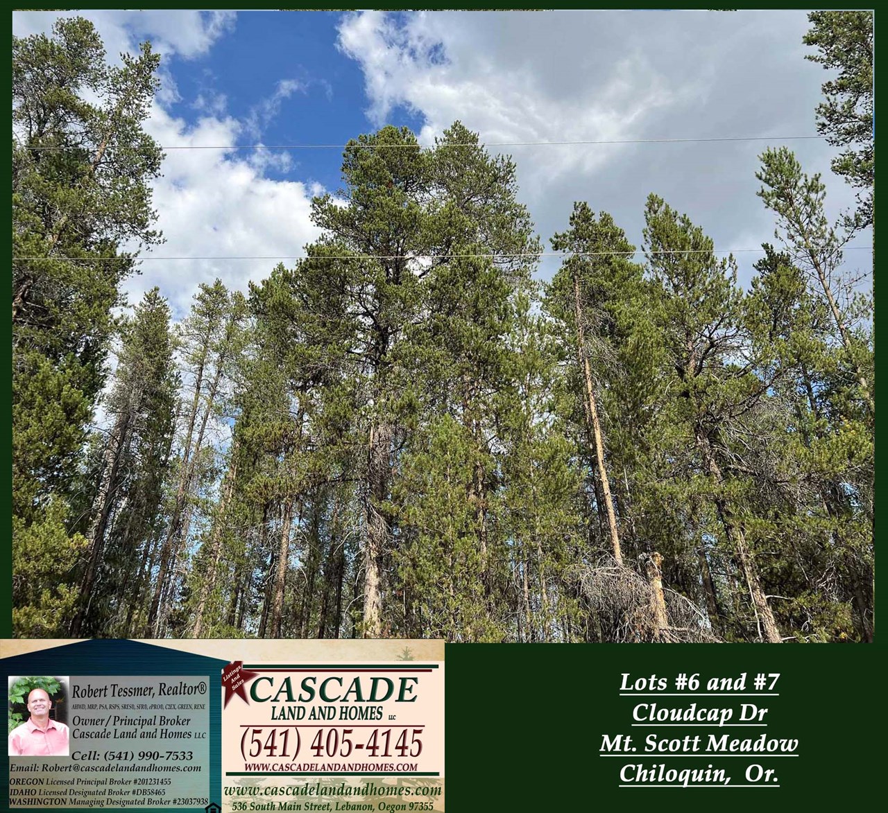 property listing image