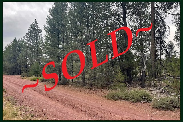 property listing