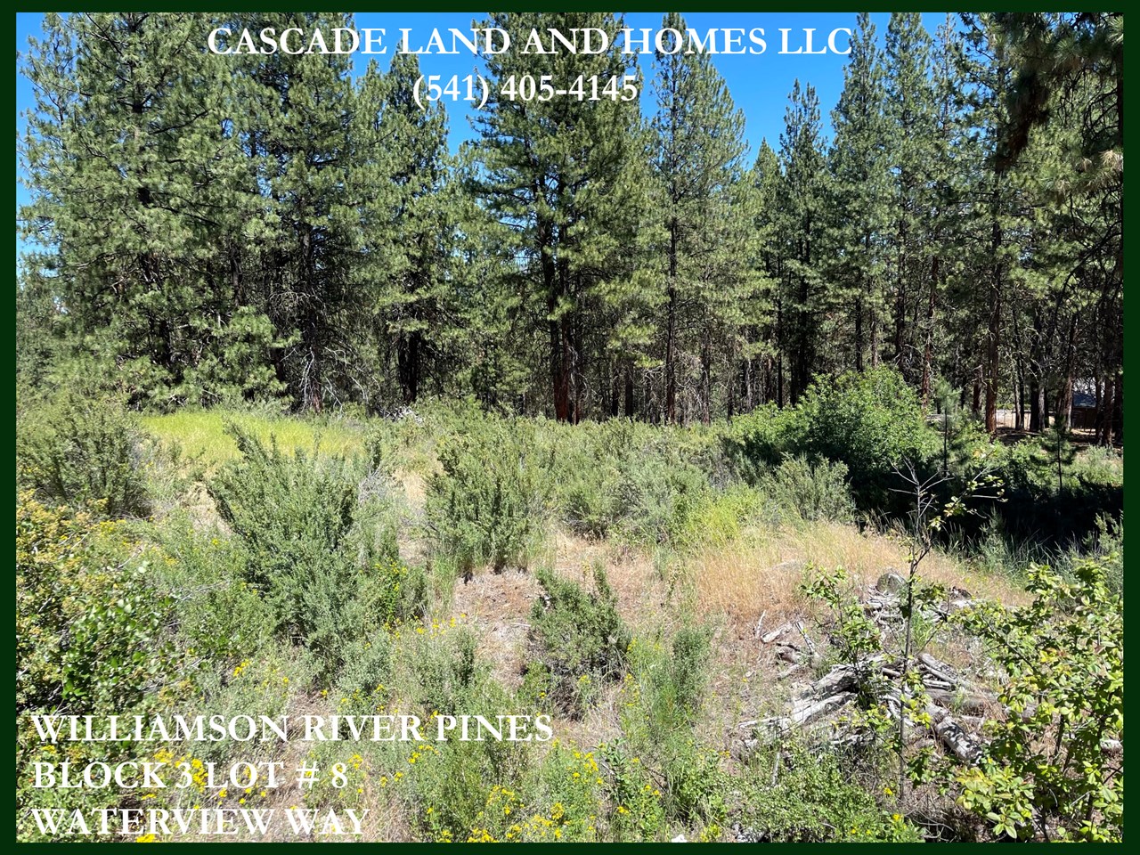can't you just see your new home in this sunny clearing surrounded by tall pines? the private subdivision access to the williamson river is just 1/4 mile down the road!
