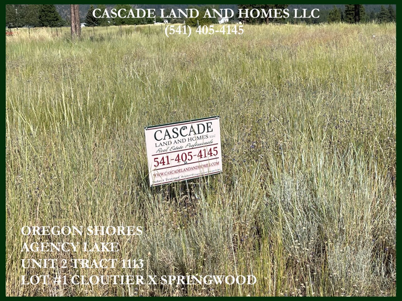 if you are ready to build your new home, or vacation home for you or your family to enjoy, this parcel is waiting for you here in the the oregon shores subdivision of agency lake!