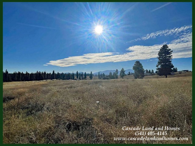 property listing