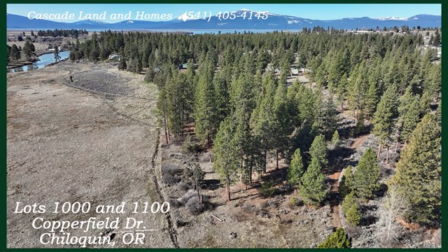 property listing