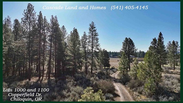 property listing