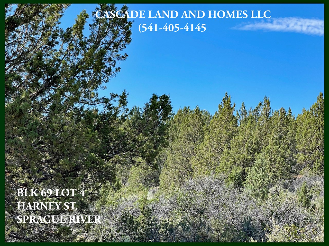 there are quite a few trees on the property allowing for additional privacy and shade in the warm summer months.