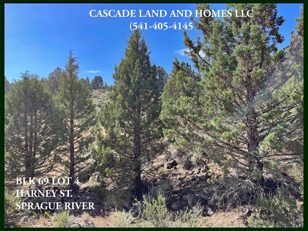 there are many trees on the property, mostly western juniper. there are some native shrubs, rabbit brush, sage, native grasses and wildflowers.