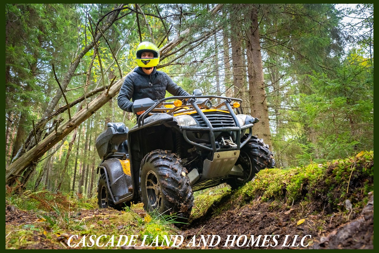 ohv is popular here, there are designated areas nearby, and lots of wide open spaces to explore!