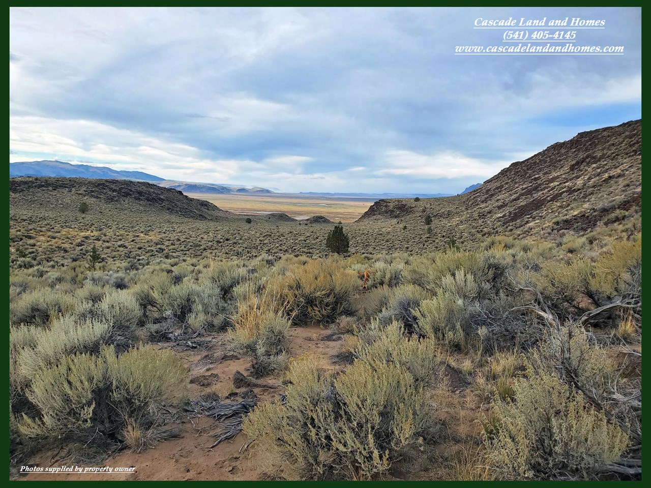 property listing image