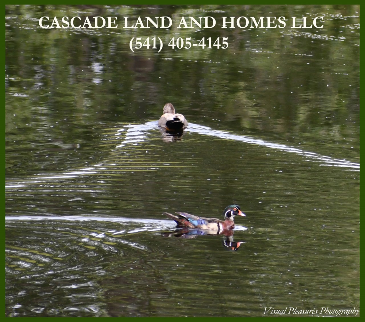 the area is known for being on the pacific flyway for migratory birds. over 400 species of birds make their way through the area, including bald eagles! the klamath basin has the largest congregation of wintering bald eagles in the lower 48 states! you can also see sandhill cranes, geese, ducks, songbirds, and pelicans!