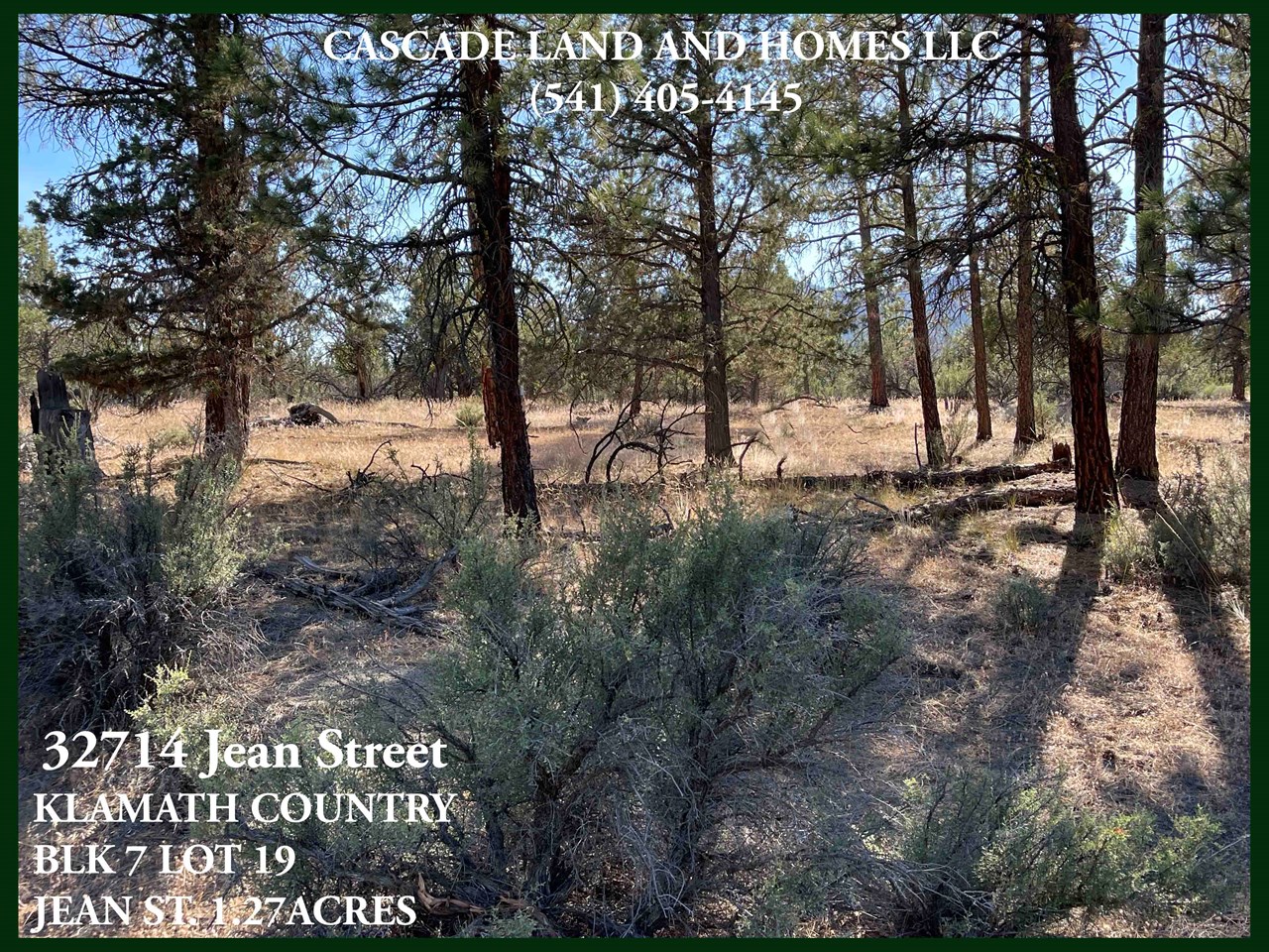 there are internet service providers that service this area, and while standing on the property we did get cell service. this is an excellent location for anyone who wants to live their dream in the great outdoors away from city life.