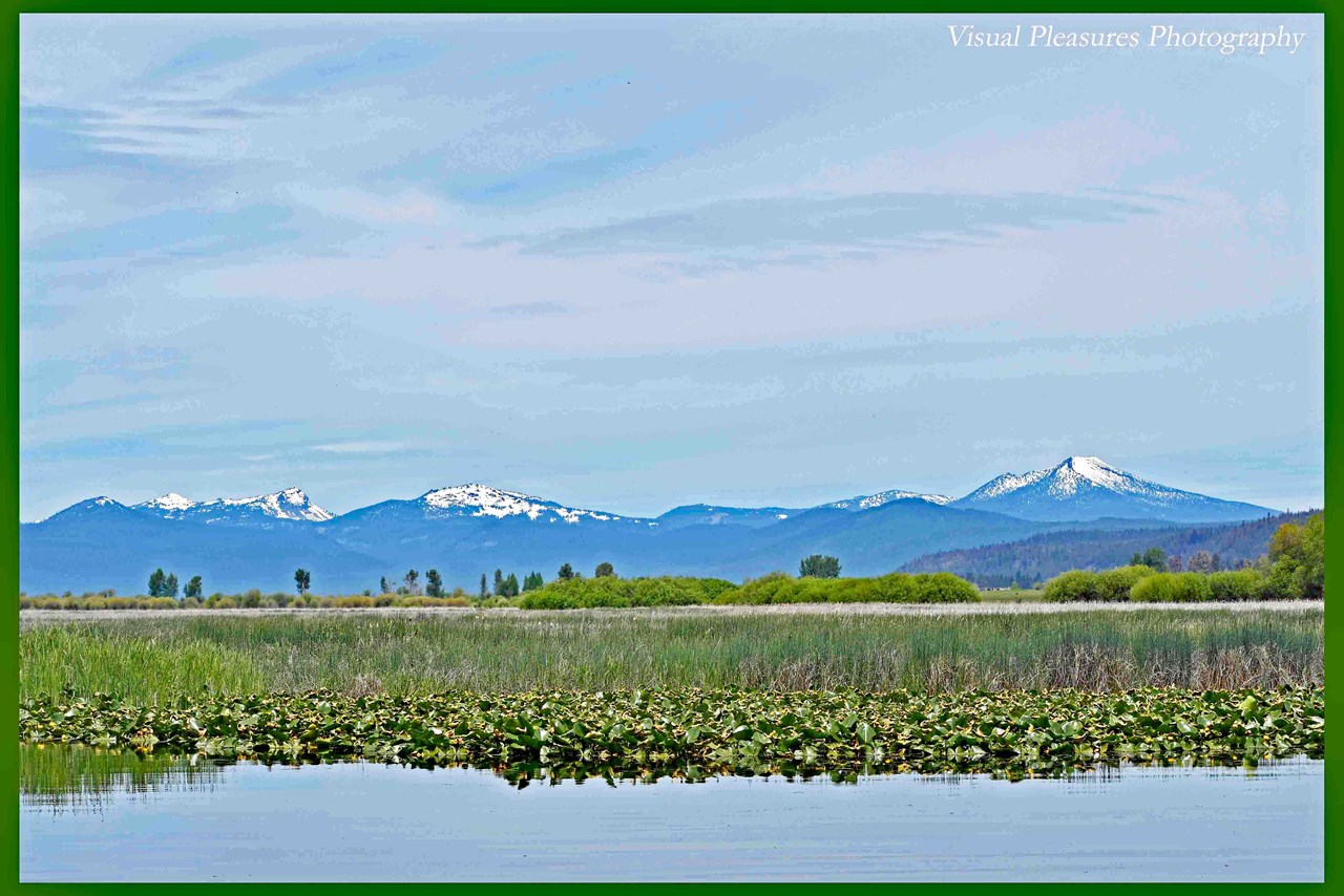 nearby wetlands offer incredible wildlife viewing opportunities! wood river winds through the wood river valley and supplies agency lake with it's primary intake. there is  a designated wetland with public access for bird and wildlife watching, and it's only about 2 1/2 miles north of here!