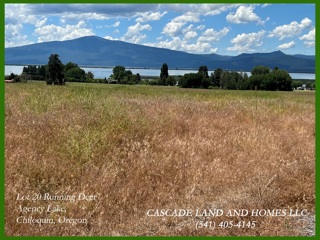 looking across the property toward agency lake. there is almost no light pollution here, a balcony from your new home would offer spectacular night stargazing.