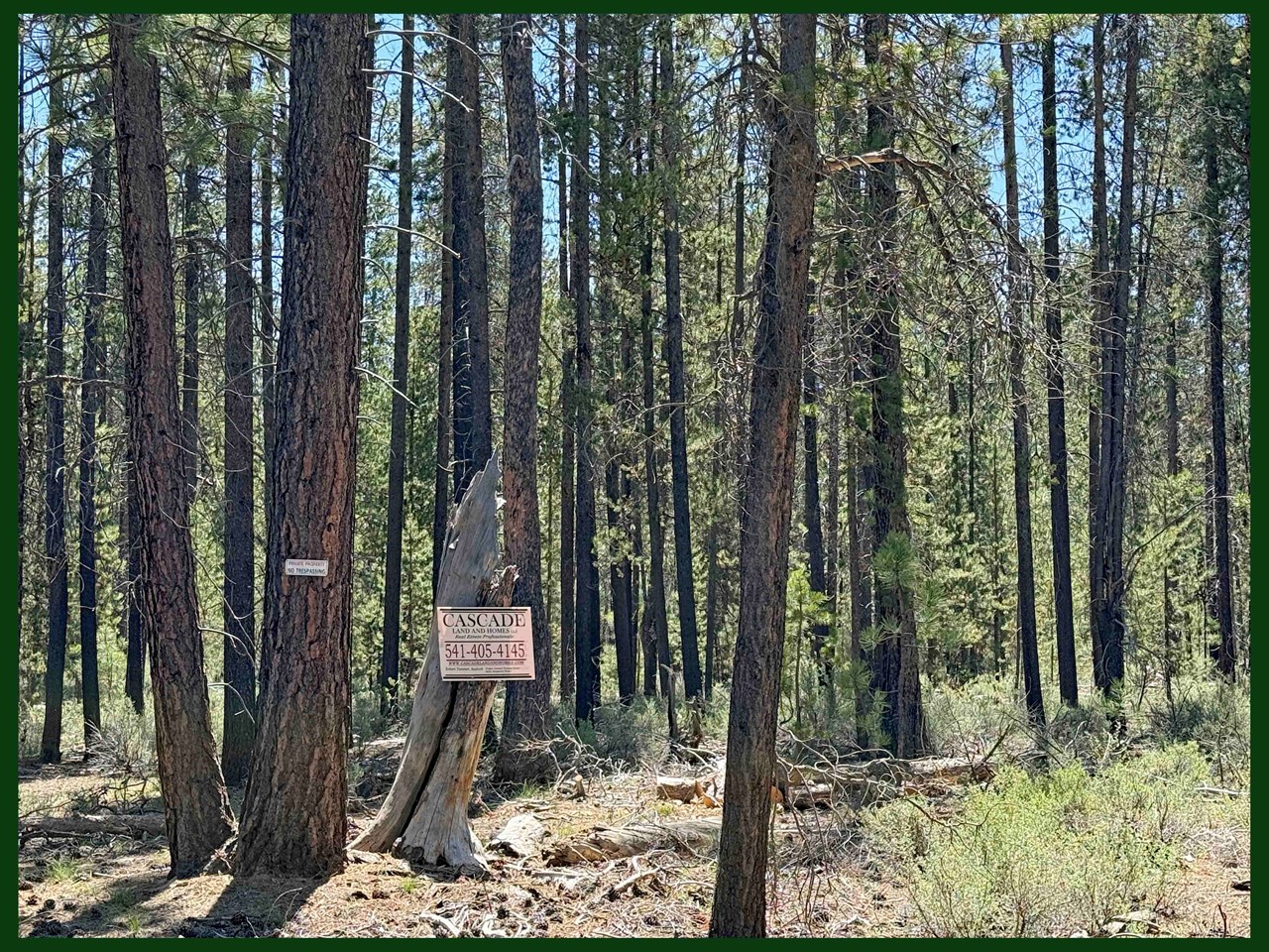 property listing image