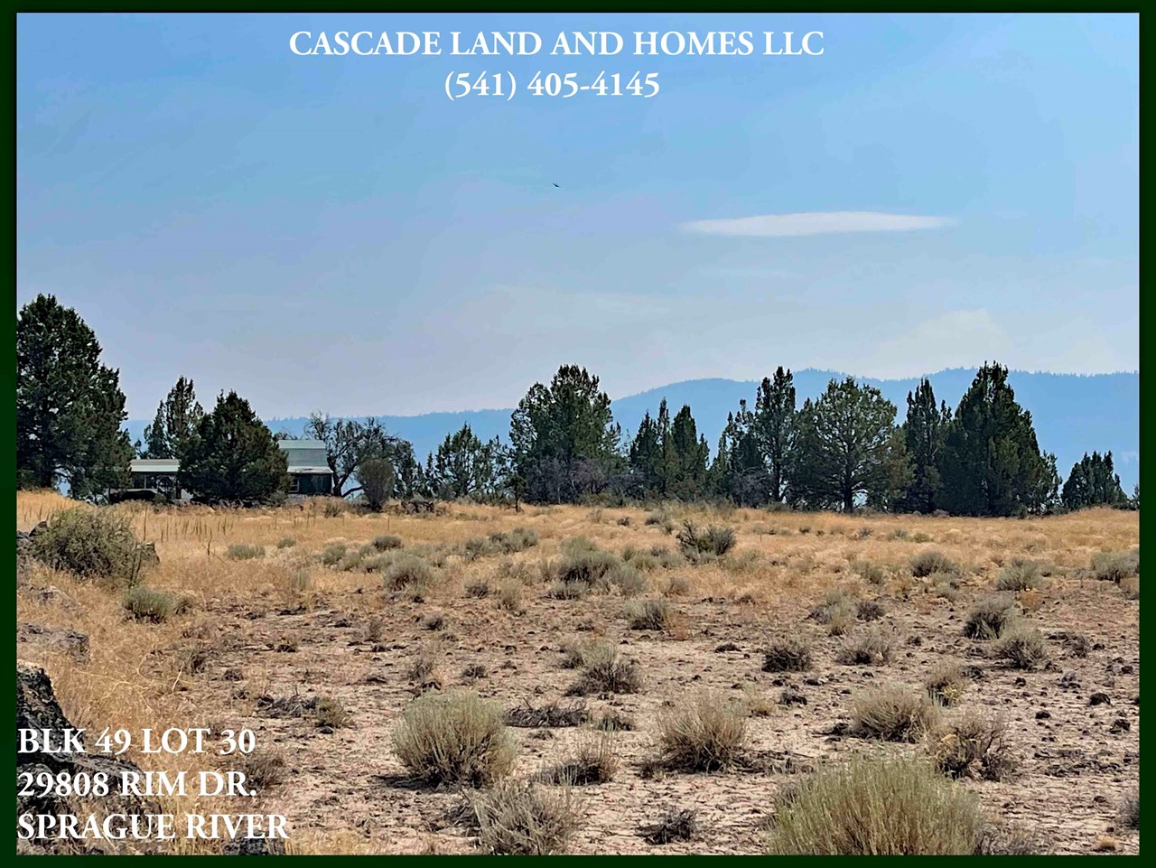 there are a few trees on the property, native shrubs, mostly sage and rabbit brush, and some native grasses.