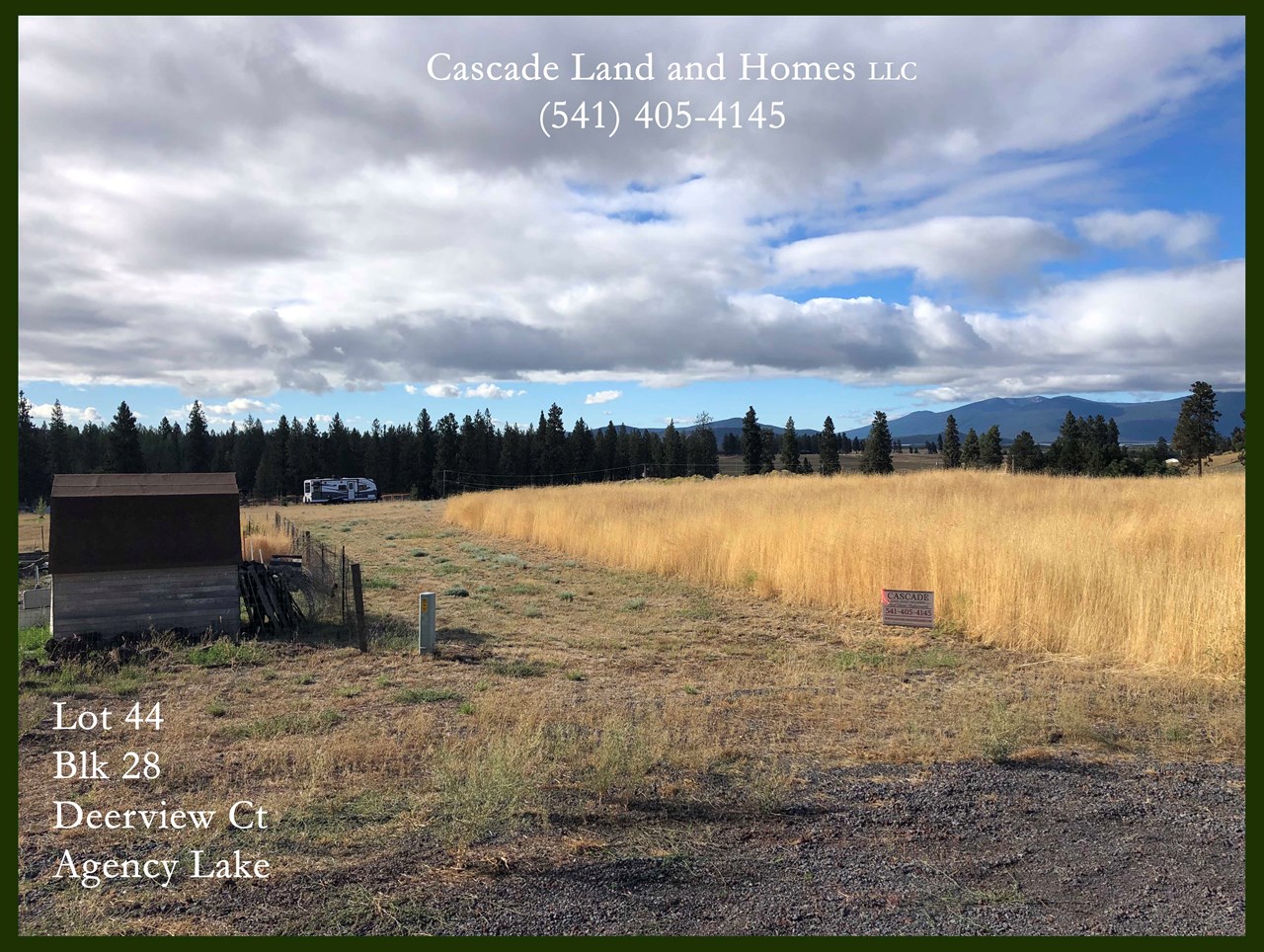 agency lake is a shallow lake and is on the pacific flyway for migratory where more than 400 species of migratory birds pass through, including bald eagles, sandhill cranes, songbirds, and we have even seen pelicans on the lake! in the winter months of november through february, hundreds of bald eagles winter over here. it is the largest congregation of bald eagles in the lower 48 states! the wood river wetlands are located here and have excellent viewing sites and trails.