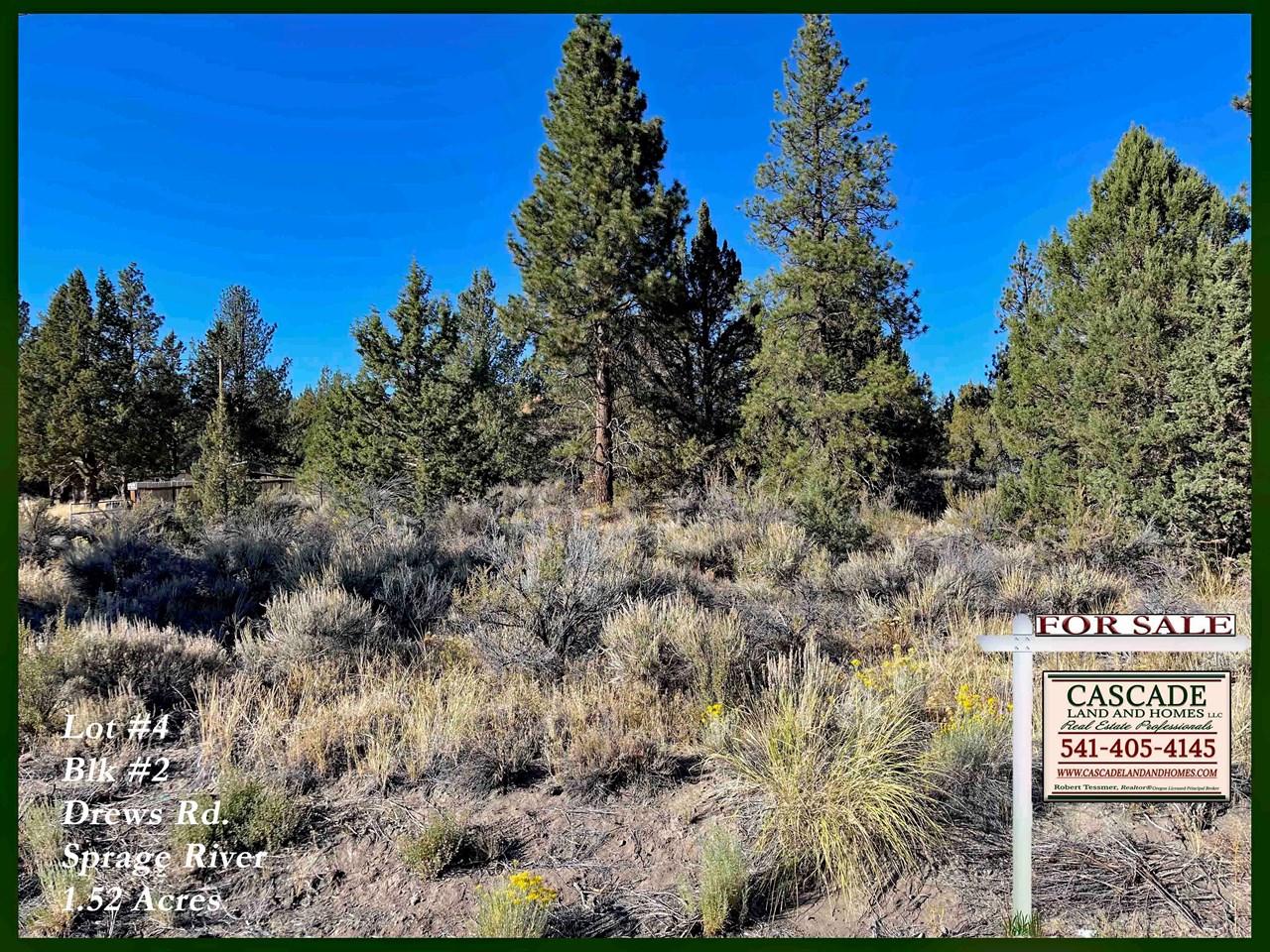 pine and juniper trees the property slopes gently and is covered with a few pines, but mostly western juniper, low-growing sage and rabbit brush and native grasses.