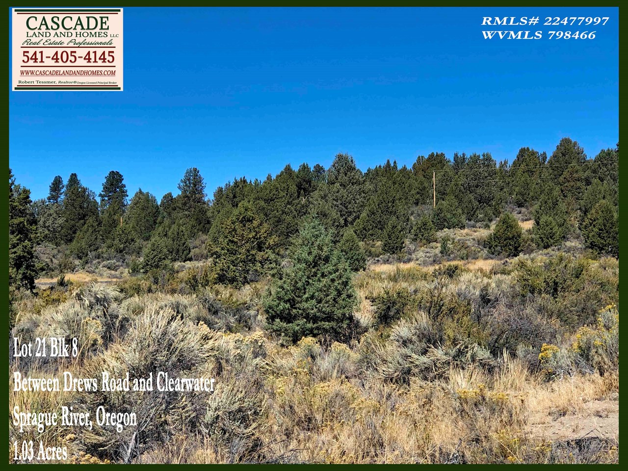 the soils here are primarily volcanic loam. the area is considered high desert, so it doesn't get the typical rainfall totals that the west side of the cascades receives. it does get over 300 days of sunshine though, so even when its cold outside, the sun shines most of the time.