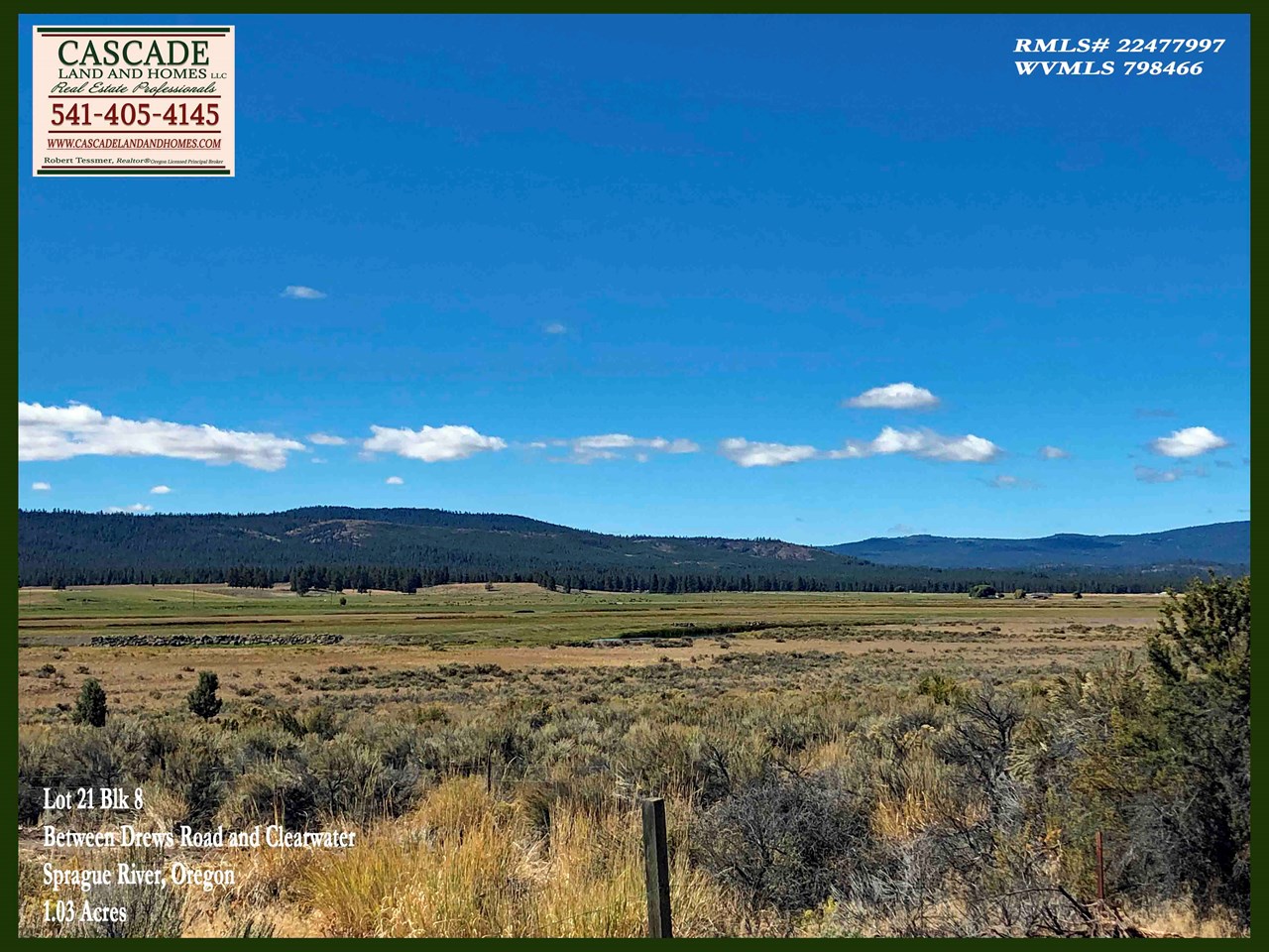 this photo was taken in the fall, so some of the grasses have lost their color as they get ready for winter, but much of the valley stays green all year with natural irrigation from the river. in the springtime the valley is covered with wildflowers!