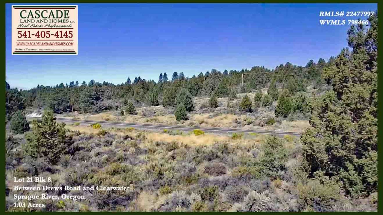 the property has a few trees, and is covered in small native shrubs and grasses.
