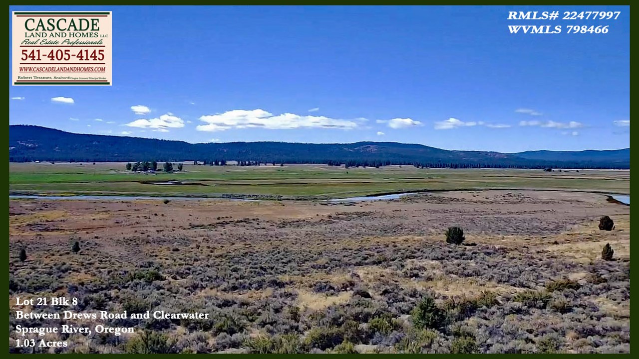 the sprague river flows all year from high up in the nearby mountains. it changes throughout its course, but here it meanders slowly through the sprague river valley where it provides water for the wildlife, and an occasional trophy-sized trout for lucky fishermen!